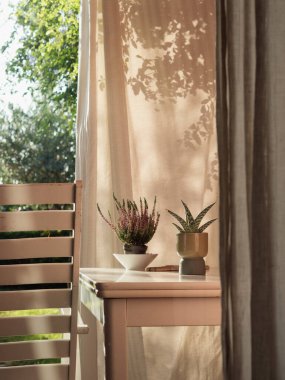 Sunlit Patio Still Life with Succulent ve Heather on White Table, Lounge Chair ve Drape Floral Shadows
