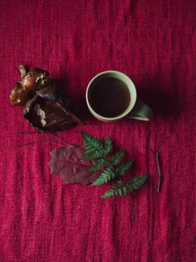 Sonbahar Ormanı Kırmızı Kumaşlar 'da Çay, Bolet Mantarlar ve Mevsimlik Yapraklarla Yatar