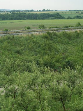 Çernivtsi yakınlarındaki Bahçe, Otoyol ve Çiftlik arazisiyle yemyeşil Ukrayna Yaz Peyzajı