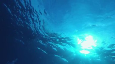 Mavi yüzeyin altında. Tropik mavi su. Deniz dalgaları. Mavi su arka planı. Yüzey deniz suyu. Mavi turkuaz deniz dalgaları.