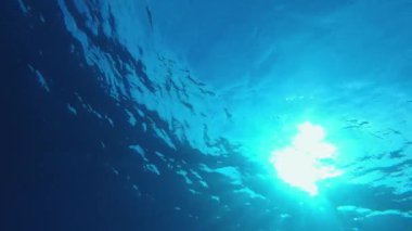 Dalgaların altında Mavi Deniz. Tropik mavi su. Deniz dalgaları. Mavi su arka planı. Yüzey deniz suyu. Mavi turkuaz deniz dalgaları.