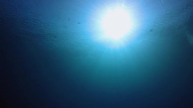 Mavi Deniz Yüzey Suyu. Tropik mavi su. Deniz dalgaları. Mavi su arka planı. Yüzey deniz suyu. Mavi turkuaz deniz dalgaları.