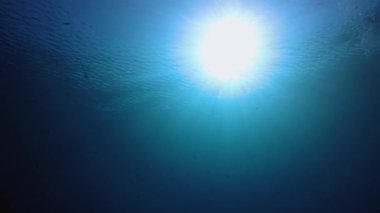 Mavi Deniz Su Güneş Işığı. Tropik mavi su. Deniz dalgaları. Mavi su arka planı. Yüzey deniz suyu. Mavi turkuaz deniz dalgaları.