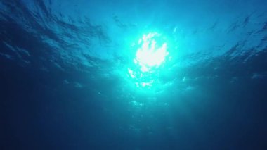 Mavi Turkuaz Deniz Suyu. Mavi deniz suyu yüzeyi. Su altı mavi su hava kabarcıkları. Hava kabarcıkları mavi yüzey. Su altı mavi deniz suyu. Su altı mavi deniz suyu.