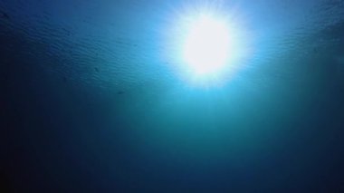 Mavi Sualtı Güneş Işığı. Mavi deniz suyu yüzeyi. Su altı mavi su hava kabarcıkları. Hava kabarcıkları mavi yüzey. Su altı mavi deniz suyu. Su altı mavi deniz suyu.