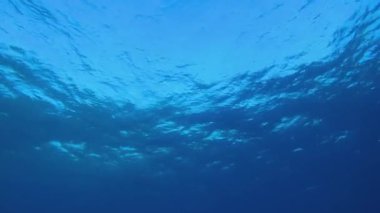 Deniz suyu yüzeyi. Mavi deniz suyu yüzeyi. Su altı mavi su hava kabarcıkları. Hava kabarcıkları mavi yüzey. Su altı mavi deniz suyu. Su altı mavi deniz suyu.