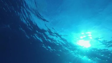 Okyanusun Altında Günbatımı Güneş Işığı Zevkleri. Mavi deniz suyu yüzeyi. Su altı mavi su hava kabarcıkları. Hava kabarcıkları mavi yüzey. Su altı mavi deniz suyu. Su altı mavi deniz suyu.
