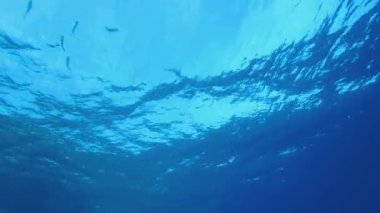 Deniz altı mavi okyanusu. Tropik mavi su. Deniz dalgaları. Mavi su arka planı. Yüzey deniz suyu. Mavi turkuaz deniz dalgaları.