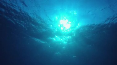 Su altı Mavi Deniz Suyu. Tropik mavi su. Deniz dalgaları. Mavi su arka planı. Yüzey deniz suyu. Mavi turkuaz deniz dalgaları.