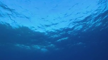 Su altı Mavi Deniz Suyu. Tropik mavi su. Deniz dalgaları. Mavi su arka planı. Yüzey deniz suyu. Mavi turkuaz deniz dalgaları.