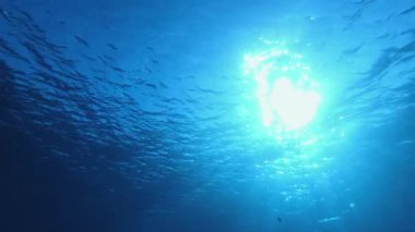 Mavi Deniz Tropikal Denizi. Tropik mavi su. Deniz dalgaları. Mavi su arka planı. Yüzey deniz suyu. Mavi turkuaz deniz dalgaları.