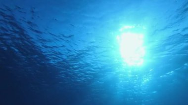 Mavi Deniz Suyu Su Altında. Tropik mavi su. Deniz dalgaları. Mavi su arka planı. Yüzey deniz suyu. Mavi turkuaz deniz dalgaları.