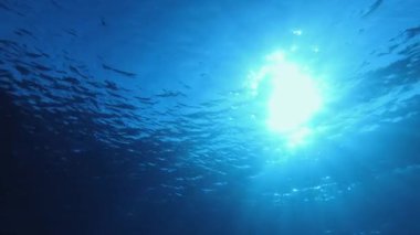 Tropik Mavi Deniz Güneşi. Tropik mavi su. Deniz dalgaları. Mavi su arka planı. Yüzey deniz suyu. Mavi turkuaz deniz dalgaları.