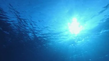 Tropikal Su Mavi Deniz. Tropik mavi su. Deniz dalgaları. Mavi su arka planı. Yüzey deniz suyu. Mavi turkuaz deniz dalgaları.