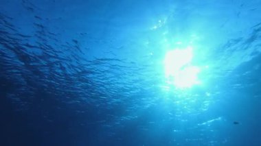 Su altı Mavi Deniz Suyu. Tropik mavi su. Deniz dalgaları. Mavi su arka planı. Yüzey deniz suyu. Mavi turkuaz deniz dalgaları.