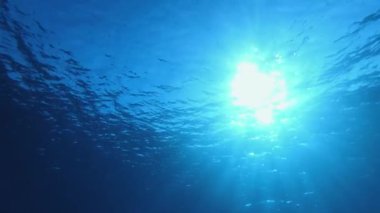 Sualtı Tropikal Su Mavi Deniz. Tropik mavi su. Deniz dalgaları. Mavi su arka planı. Yüzey deniz suyu. Mavi turkuaz deniz dalgaları.