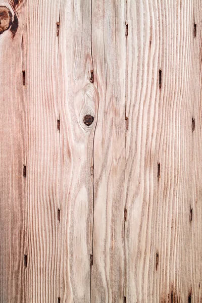 Słojów drewna kory tekstura — Zdjęcie stockowe