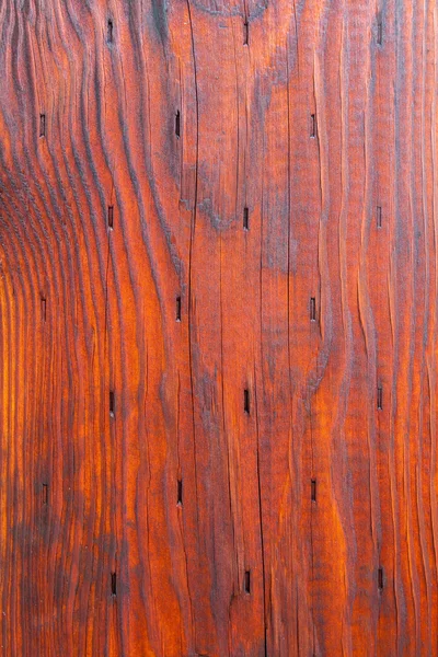 樹皮の木目テクスチャ — ストック写真