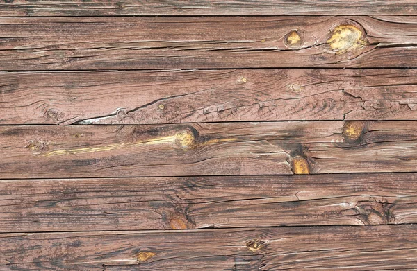 Holzmaserung Rinde Textur — Stockfoto