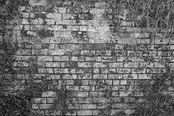 Vecchio muro di mattoni edificio — Foto Stock