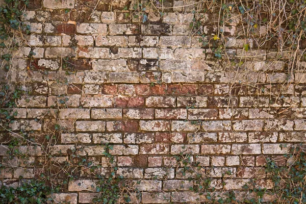 Parede de tijolo do edifício velho — Fotografia de Stock