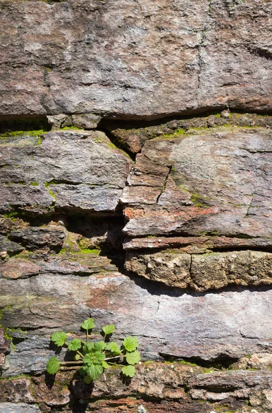 Stenen muur textuur en achtergrond — Stockfoto