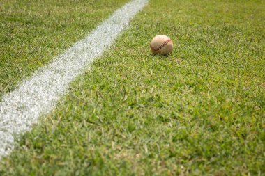 Beyzbol sahası bahar