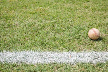 Beyzbol sahası bahar