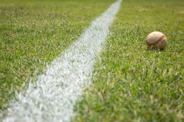 Beyzbol sahası bahar