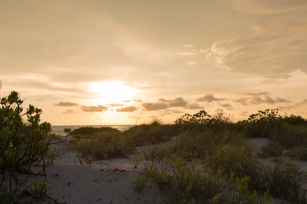 Côte de Floride coucher de soleil — Photo