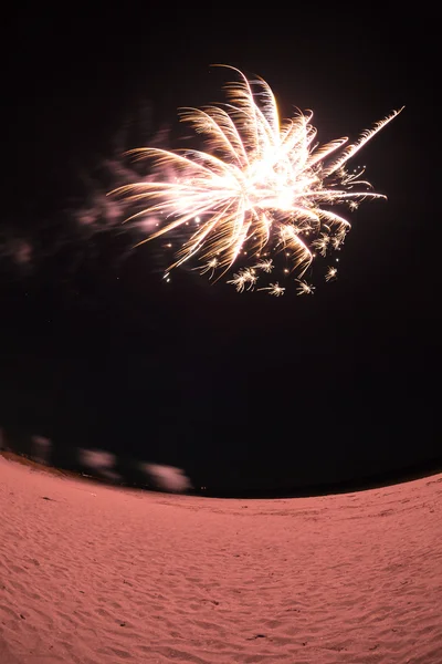 Fuochi d'artificio sulla spiaggia in Florida Immagine Stock