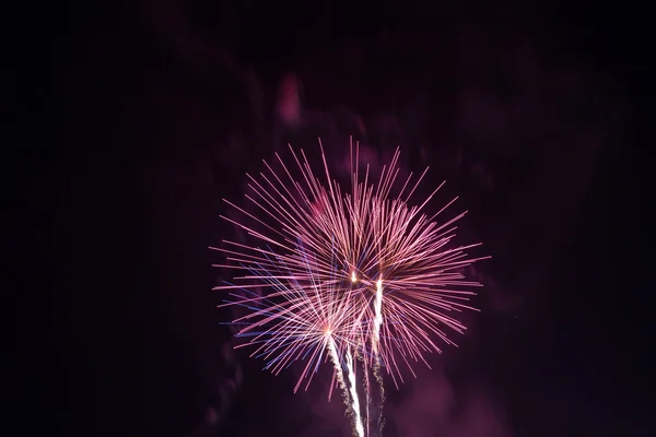 Fireworks celebration display — Stock Photo, Image