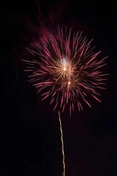 Fogos de artifício exibição celebração — Fotografia de Stock