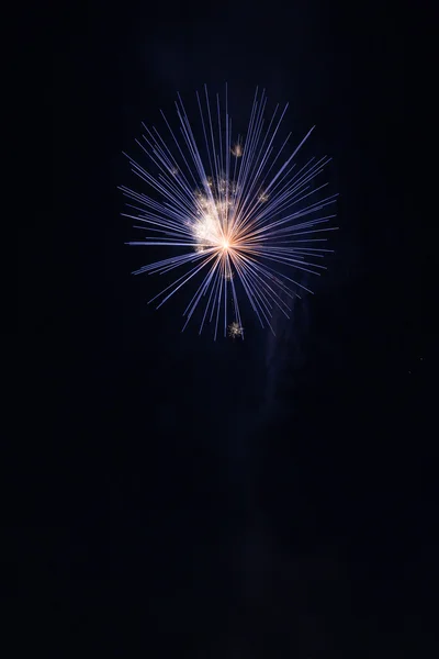 Fireworks celebration display — Stock Photo, Image