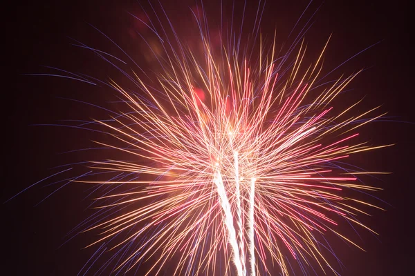 Fogos de artifício exibição celebração — Fotografia de Stock