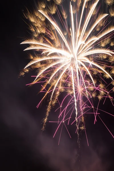 Fogos de artifício exibição celebração — Fotografia de Stock