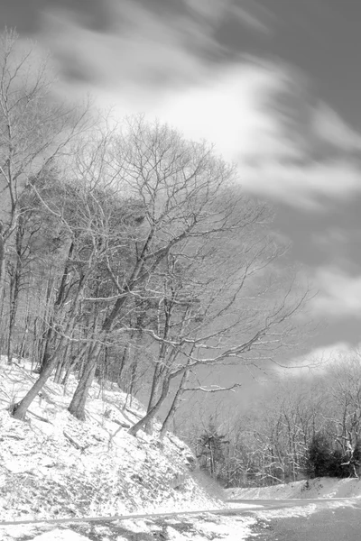 Winterbergszene — Stockfoto