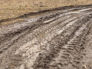 Ormandaki yolda büyük bir su birikintisi. Orman yolunda durgun su. Kırsalda toprak bir yolda bataklık..