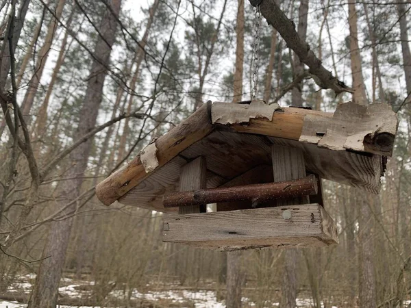 Feeder Winter Feeding Birds Birdhouse Tree Squirrels Animals Homemade Bird — Stock Photo, Image