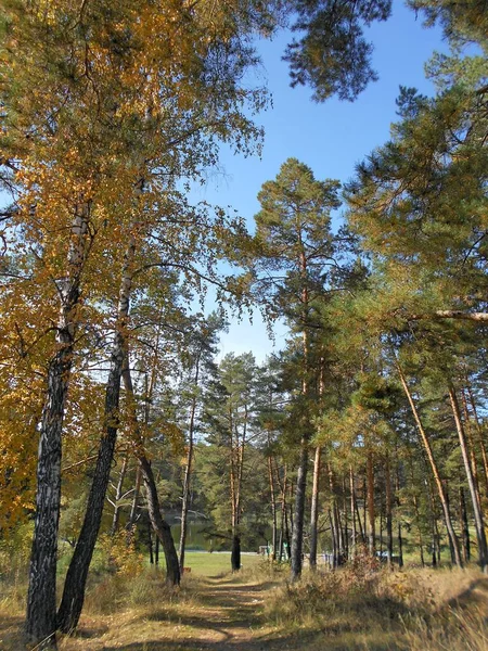 Stad Van Bolgar Tatarstan Rusland Meer Van Rabiga Kul — Stockfoto