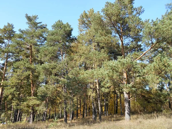 Stad Van Bolgar Tatarstan Rusland Het Rabiga Kul Meer Schilderachtige — Stockfoto