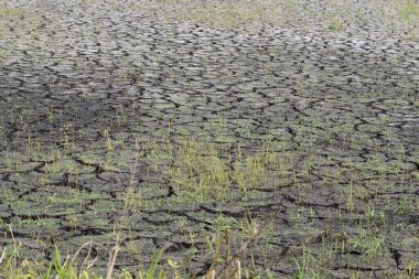 Kuru kuyular, susuz bir gölet, susuz bir toprak.