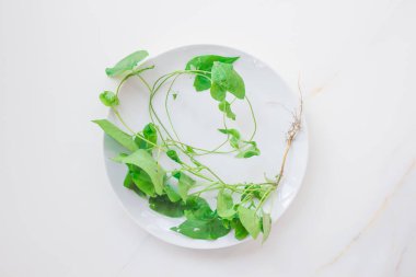 Taze sebze tabağı. Sağlıklı beslenme, vücudu arındırma, çiğ yiyecekler. Beyaz tabak ve çatal bıçaklı vejetaryen menüsü.