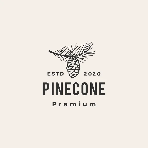 Pin Cône Hipster Vintage Logo Vectoriel Icône Illustration — Image vectorielle