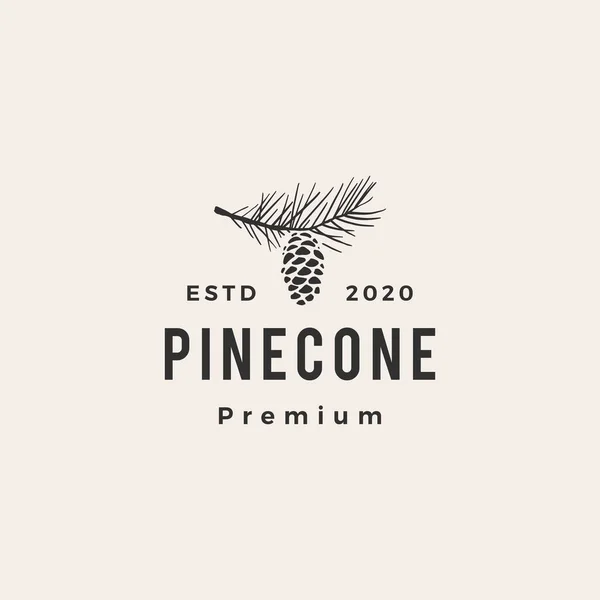 Pin Cône Hipster Vintage Logo Vectoriel Icône Illustration — Image vectorielle