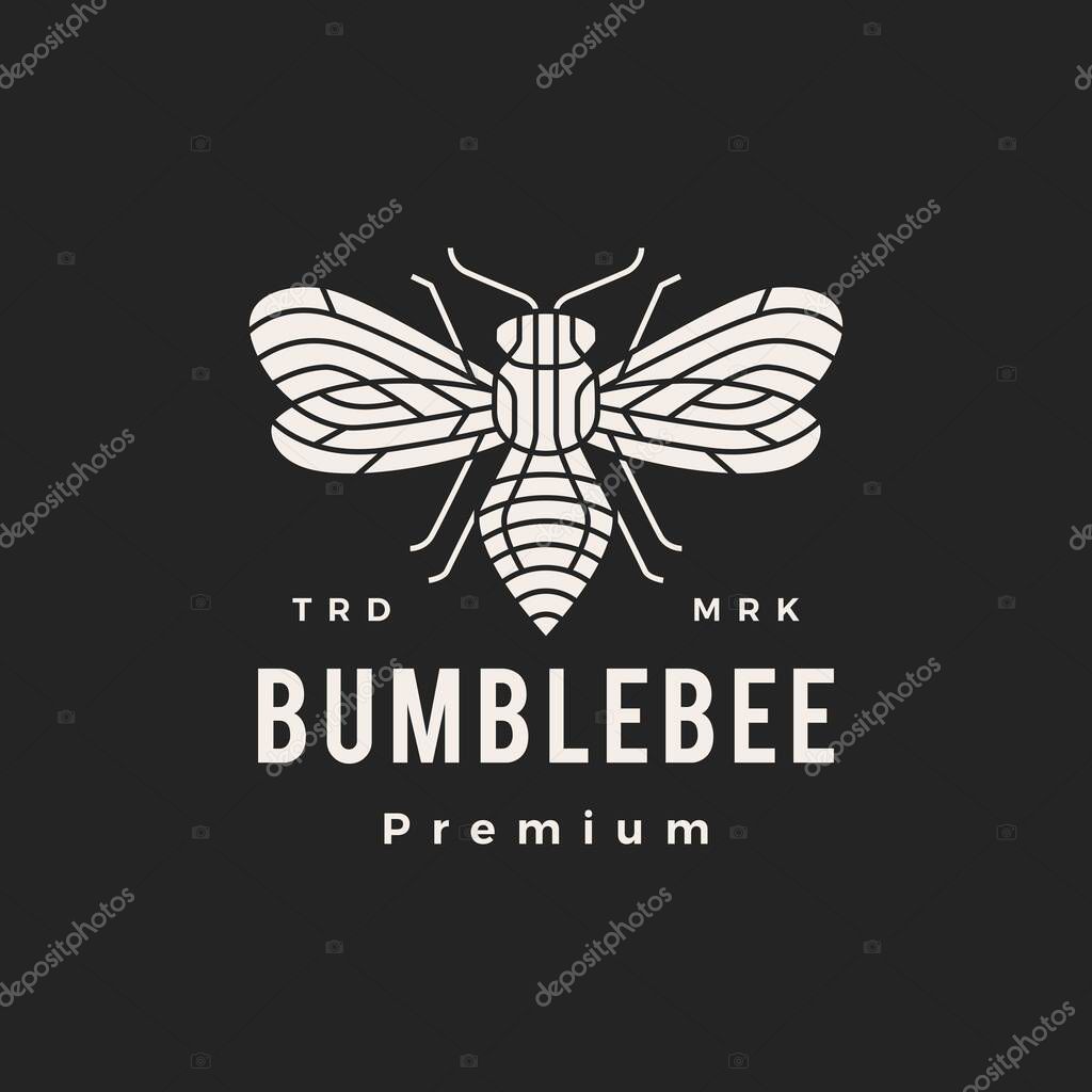 Bumble bee monoline hipster vintage logo vector icon illustration