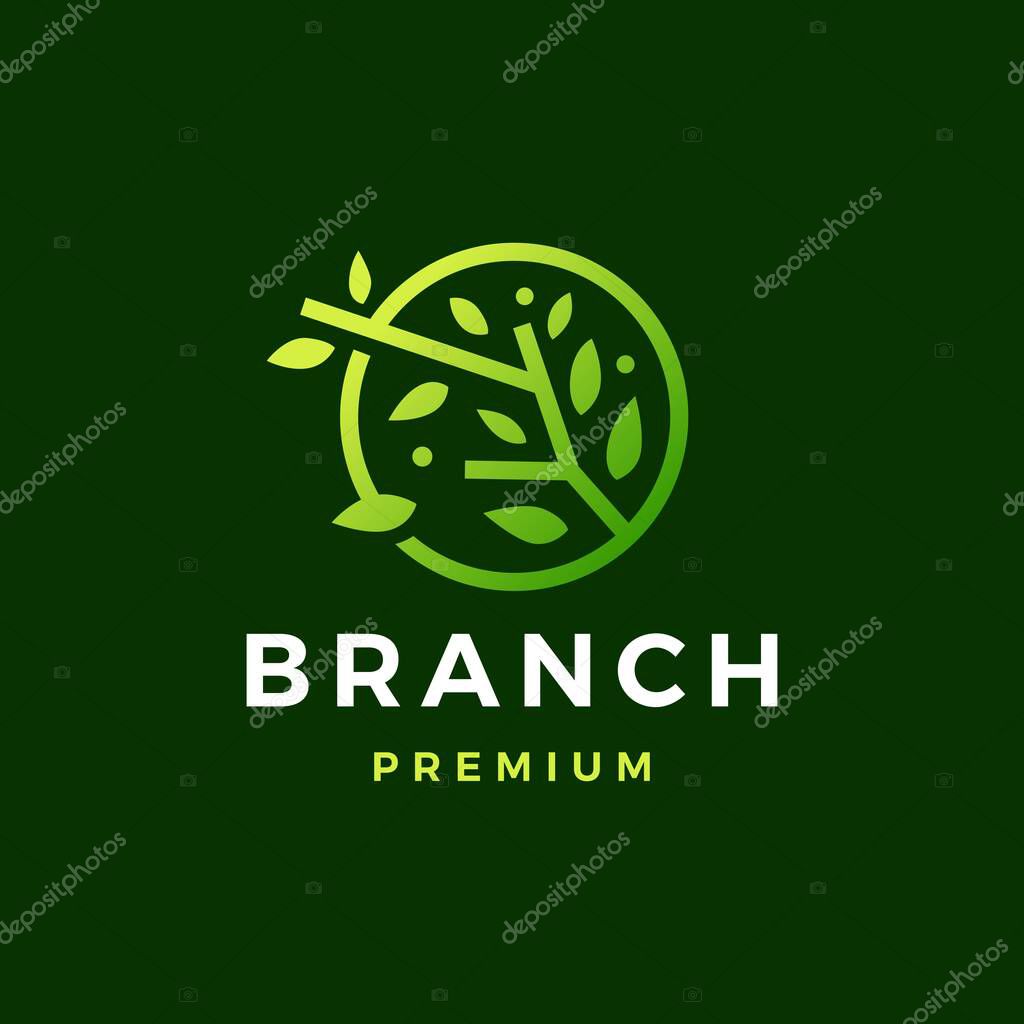 Round tree branch leaf logo vector icon illustration