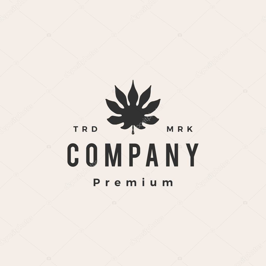 Aralia leaf hipster vintage logo vector icon illustration
