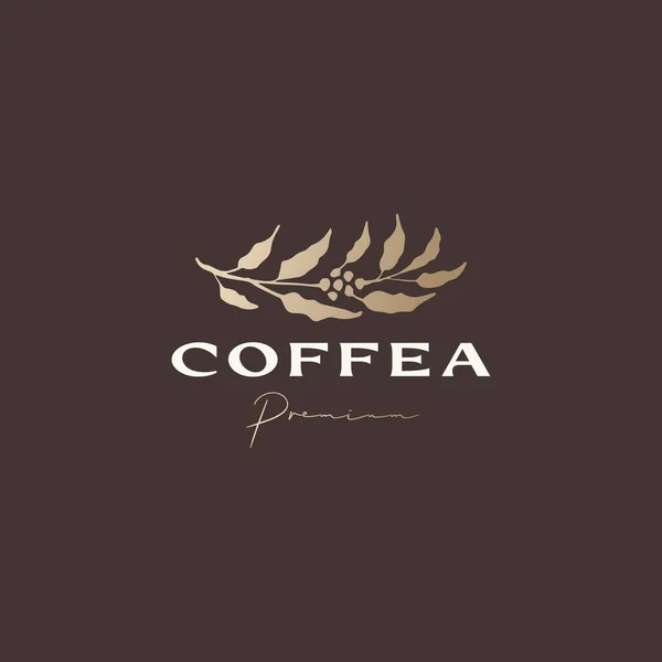 Coffea Árbol Café Sofisticado Logotipo Estético Icono Del Vector Ilustración — Archivo Imágenes Vectoriales