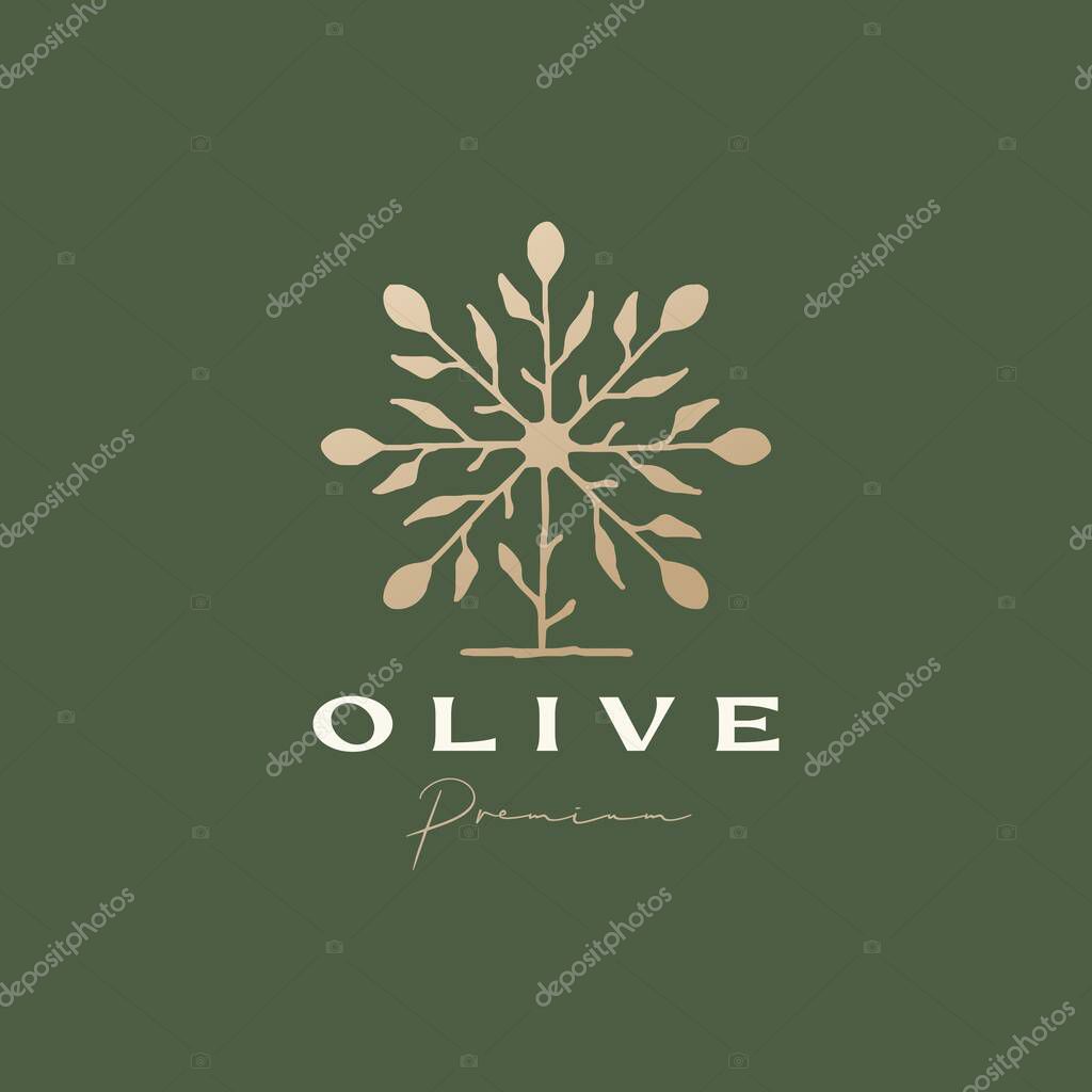 Olive tree sophisticated aesthetic logo vector icon illustration
